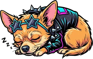 Punk chihuahua